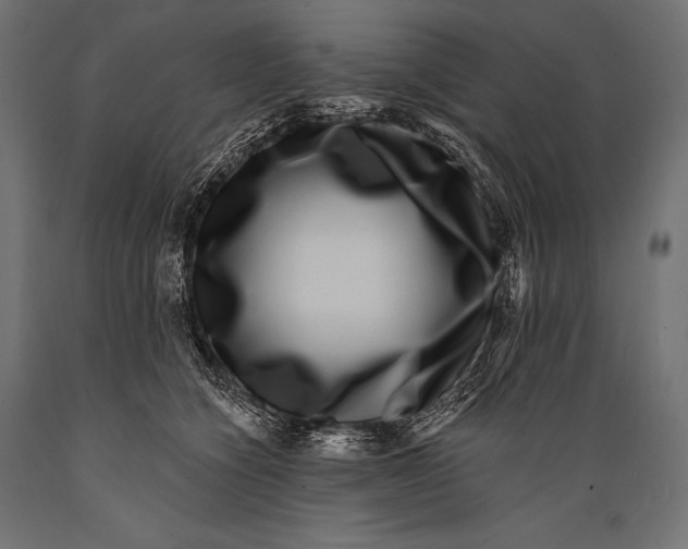 X0000088880564200706291606