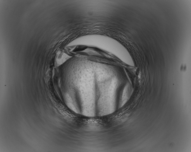 X0000088880566200706291606