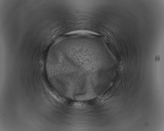 X0000088880568200706291606