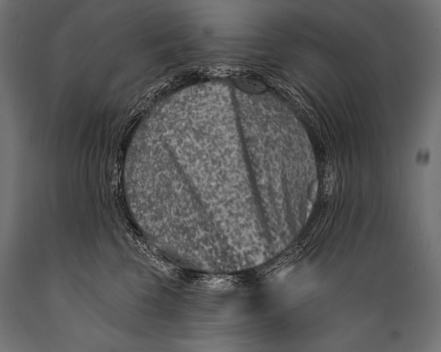 X0000088880569200706291606