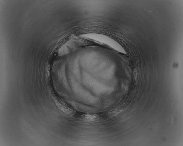 X0000088880570200706291606