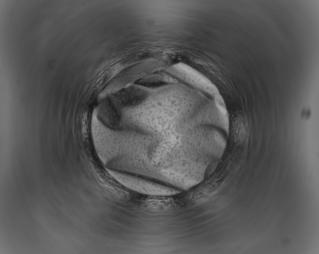 X0000088880571200706291606