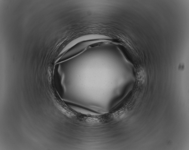 X0000088880572200706291606