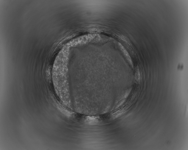 X0000088880573200706291606