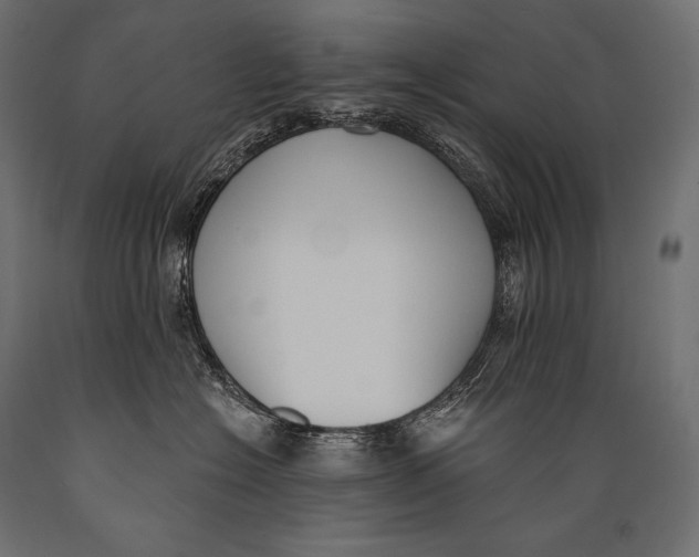 X0000088880574200706291606