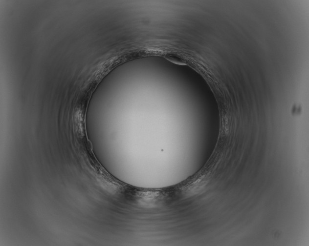 X0000088880575200706291606