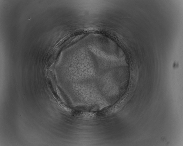 X0000088880576200706291606