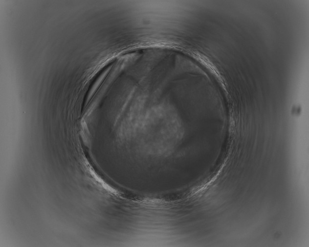 X0000088880577200706291605