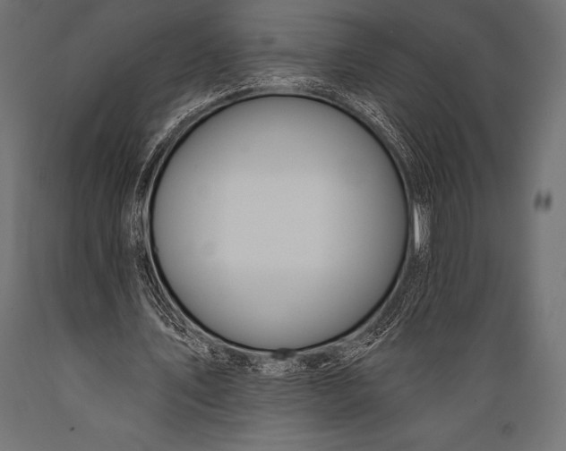 X0000088880579200706291605