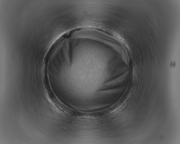 X0000088880580200706291605