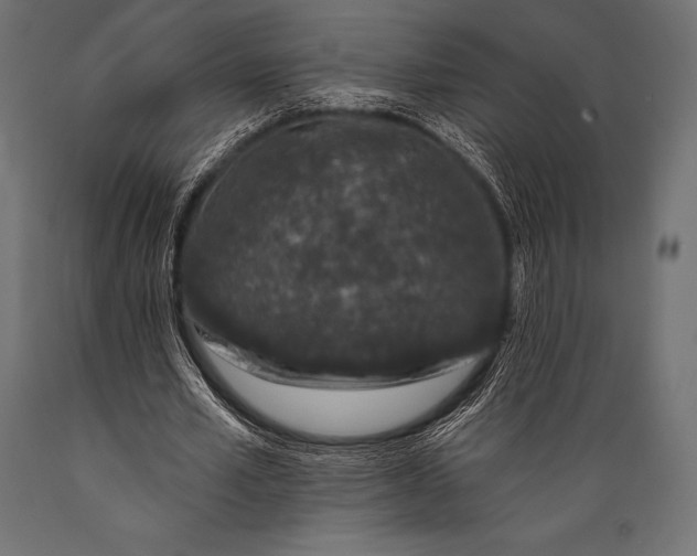 X0000088880581200706291605