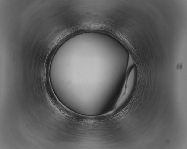 X0000088880582200706291605