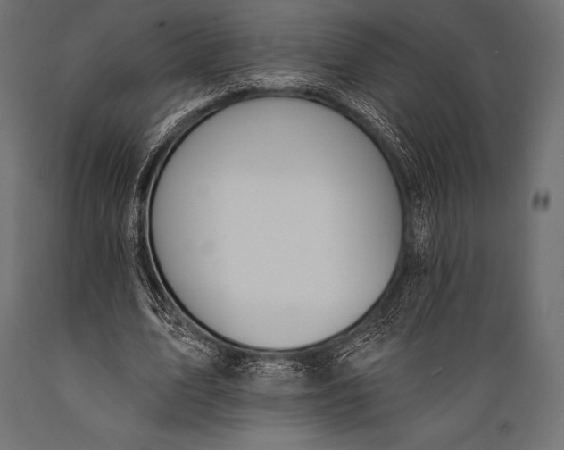 X0000088880583200706291605