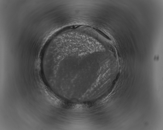 X0000088880584200706291605