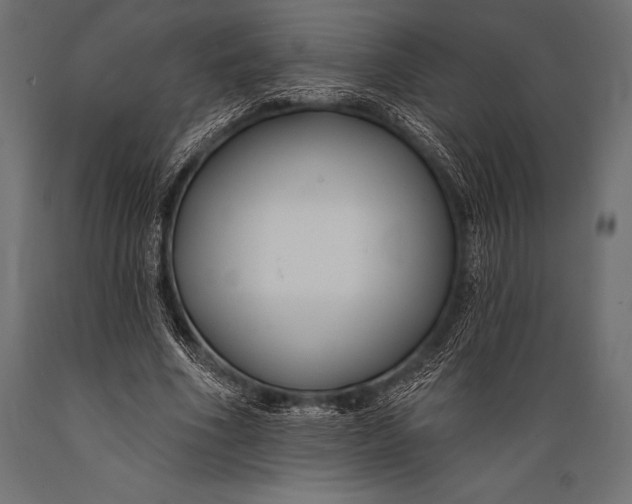 X0000088880586200706291605