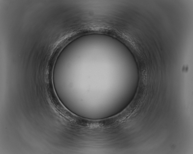 X0000088880587200706291605