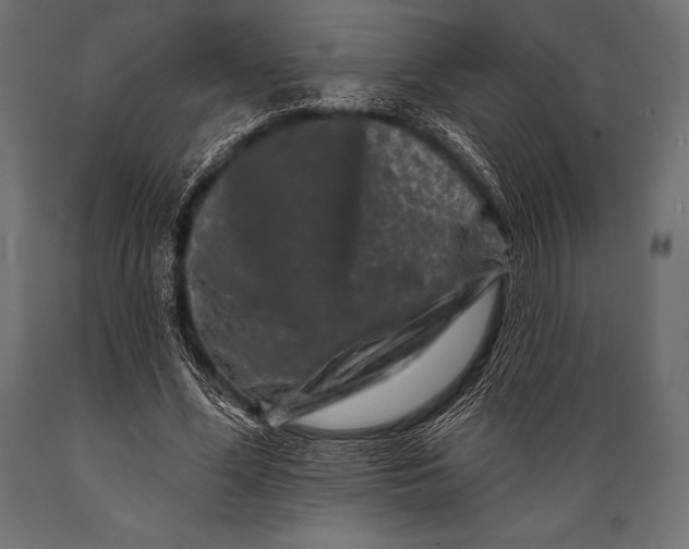 X0000088880588200706291605