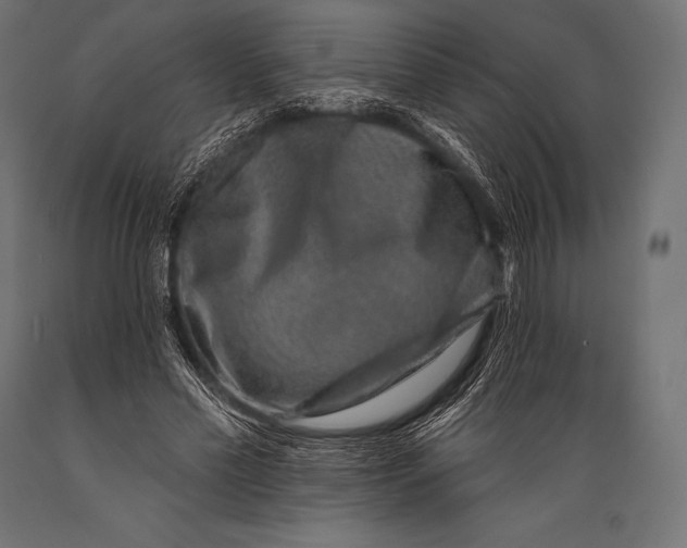 X0000088880589200706291605