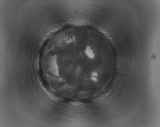 X0000088880590200706291605