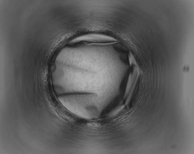 X0000088880591200706291605