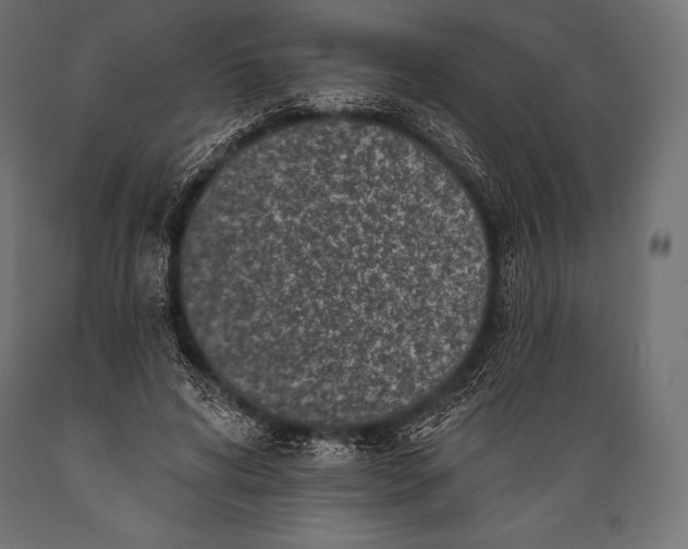 X0000088880592200706291605