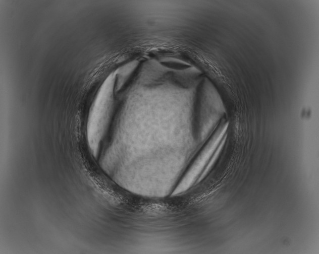 X0000088880594200706291605