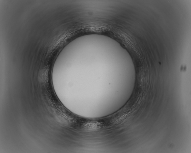 X0000088880595200706291605