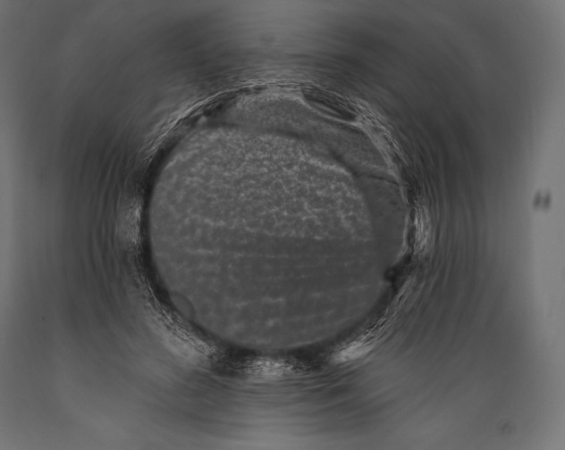 X0000088880596200706291605