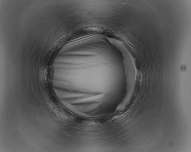 X0000088880597200706291605