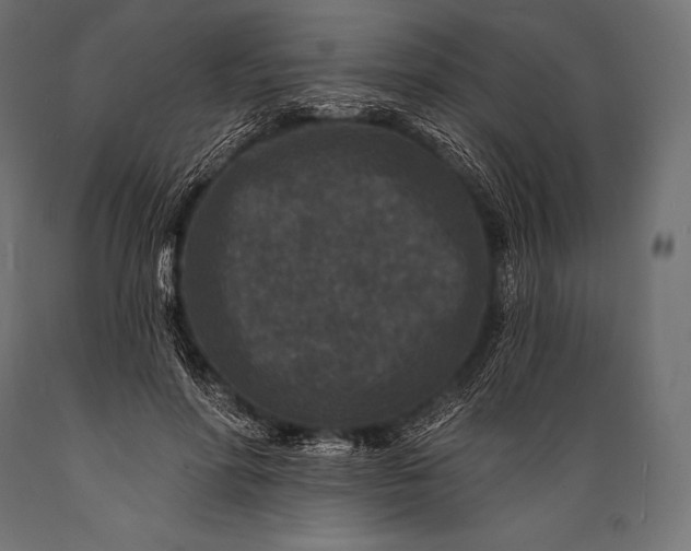 X0000088880598200706291605