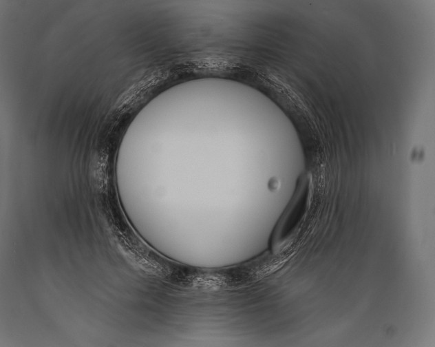 X0000088880599200706291605