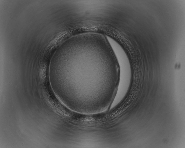 X0000088880600200706291605