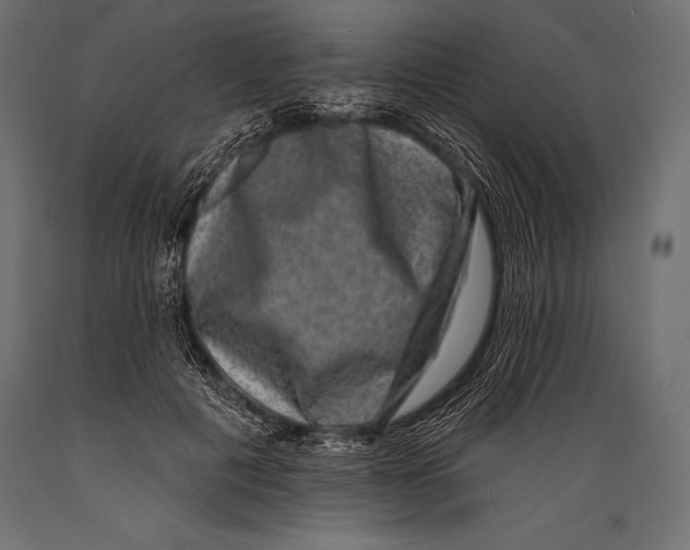 X0000088880601200706291605