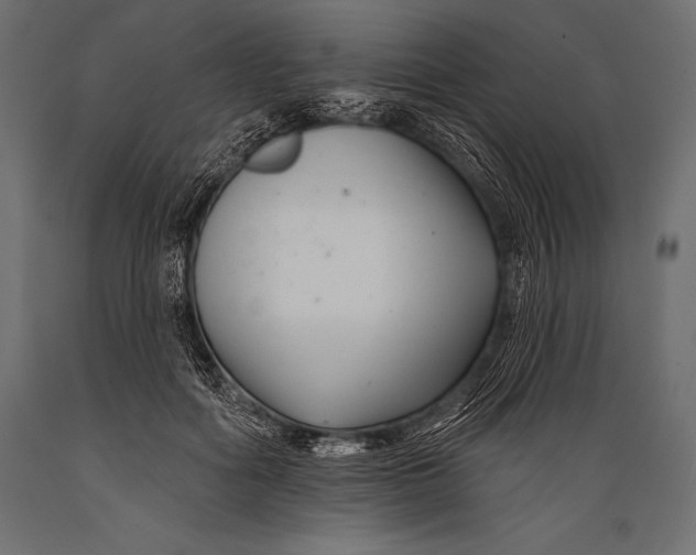 X0000088880602200706291605