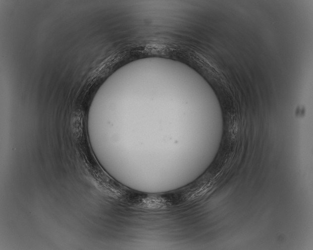 X0000088880603200706291605