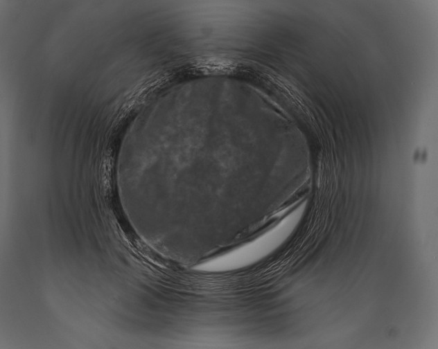 X0000088880604200706291605