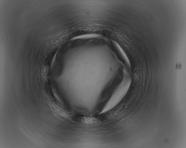 X0000088880605200706291605