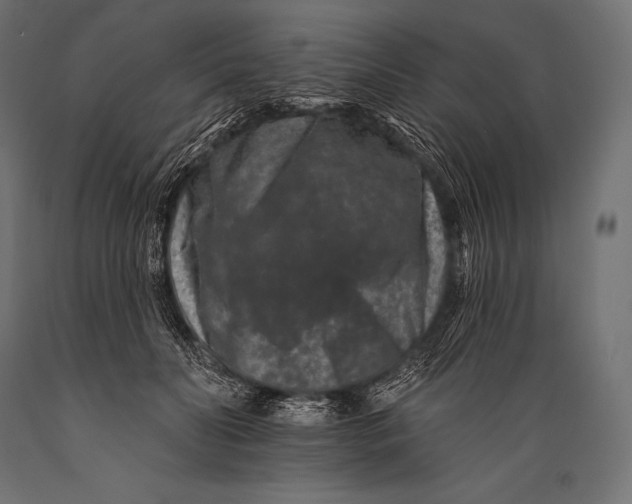 X0000088880606200706291605