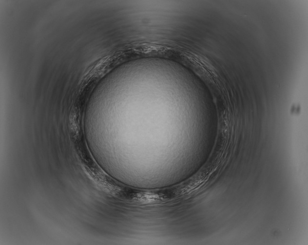 X0000088880607200706291605