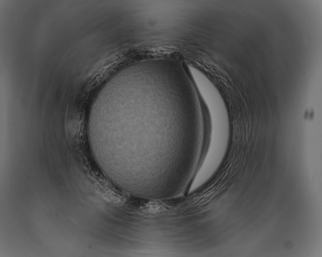 X0000088880608200706291605