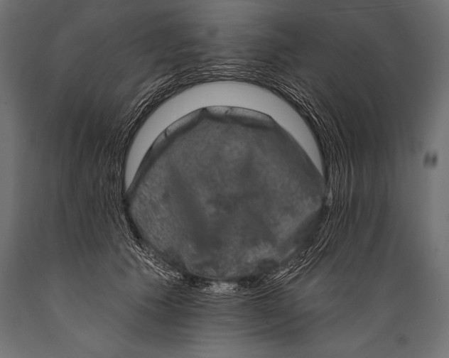 X0000088880609200706291605