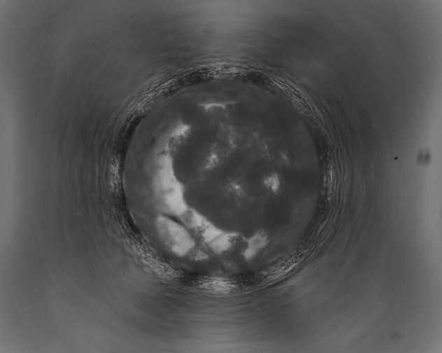 X0000088880610200706291605