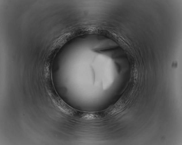 X0000088880611200706291605