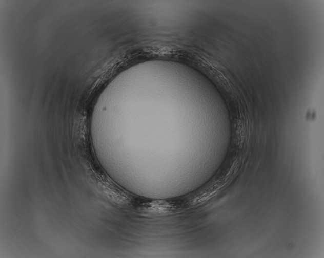 X0000088880612200706291605