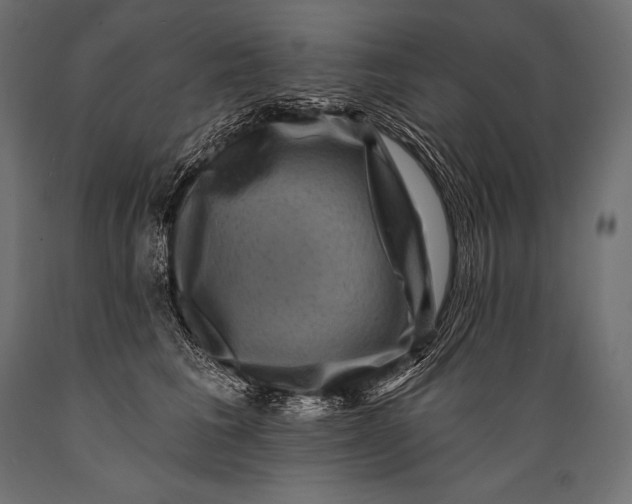 X0000088880613200706291605