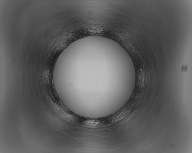 X0000088880614200706291605