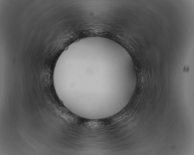 X0000088880615200706291605