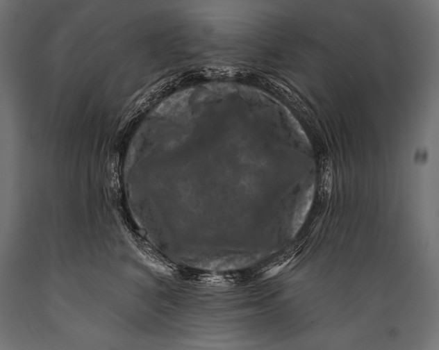 X0000088880616200706291605