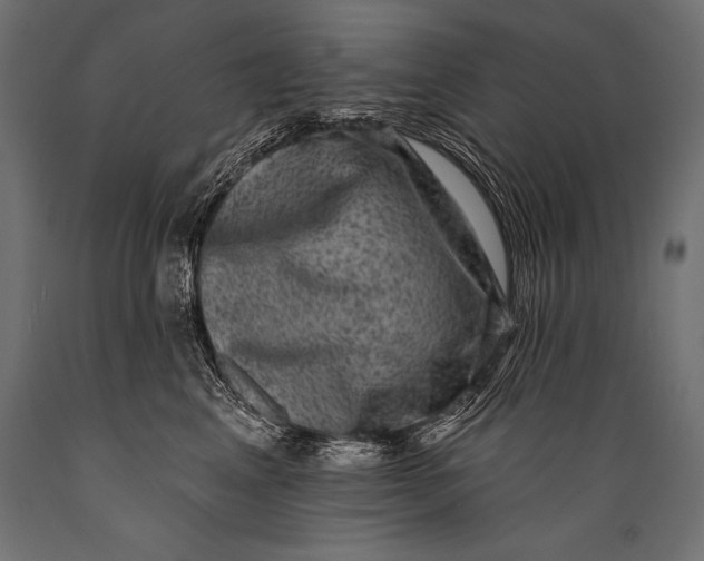 X0000088880617200706291605