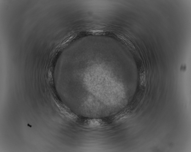 X0000088880618200706291605